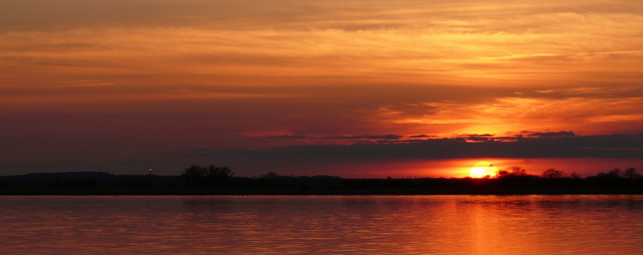 Die Abendsonne am Hafen von Vieregge