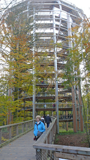 Naturerbezentrum und Baumwipfelpfad