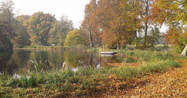 Der Park von xx
