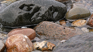 Steine im Wasser