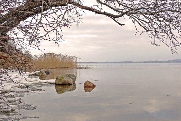 Jasmunder Bodden