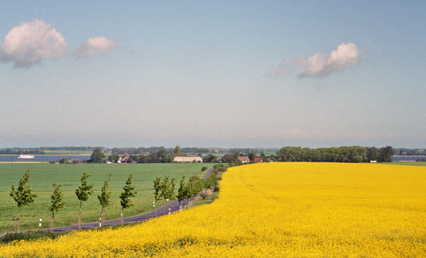 Vieregge Gemeinde Neuenkirchen vom Hoch Hilgor