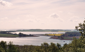 Der Tetzitzer See