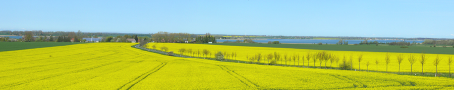 Vieregge vom Wasser umgeben.