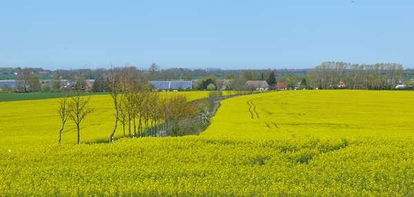 Ein Blick von Hoch Hilgor auf Vieregge